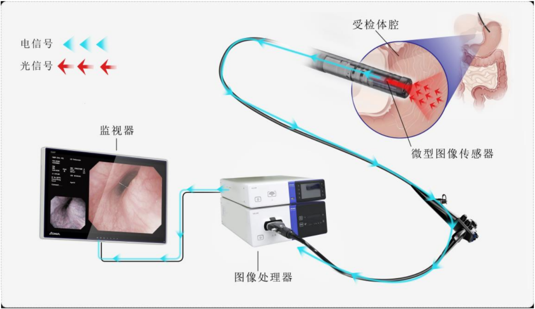 驱逐日系三巨头
