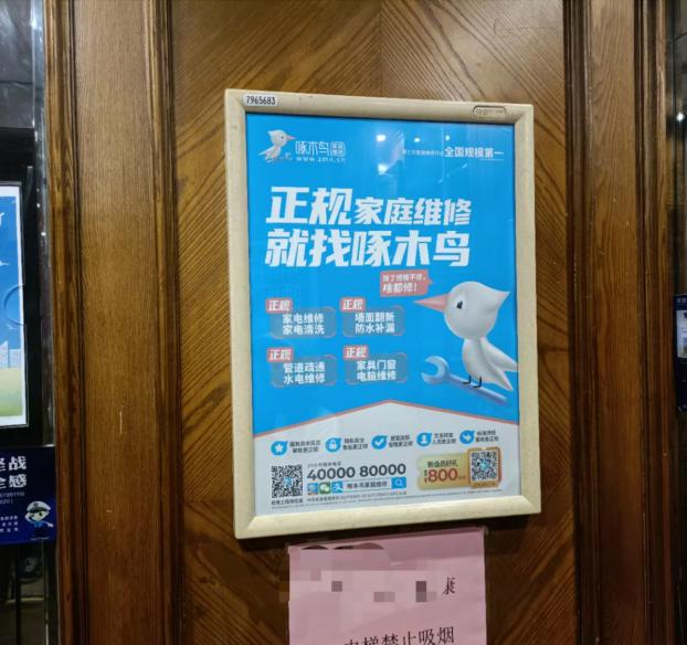 检测3分钟，收费百多元！啄木鸟家庭维修“啄”了谁？