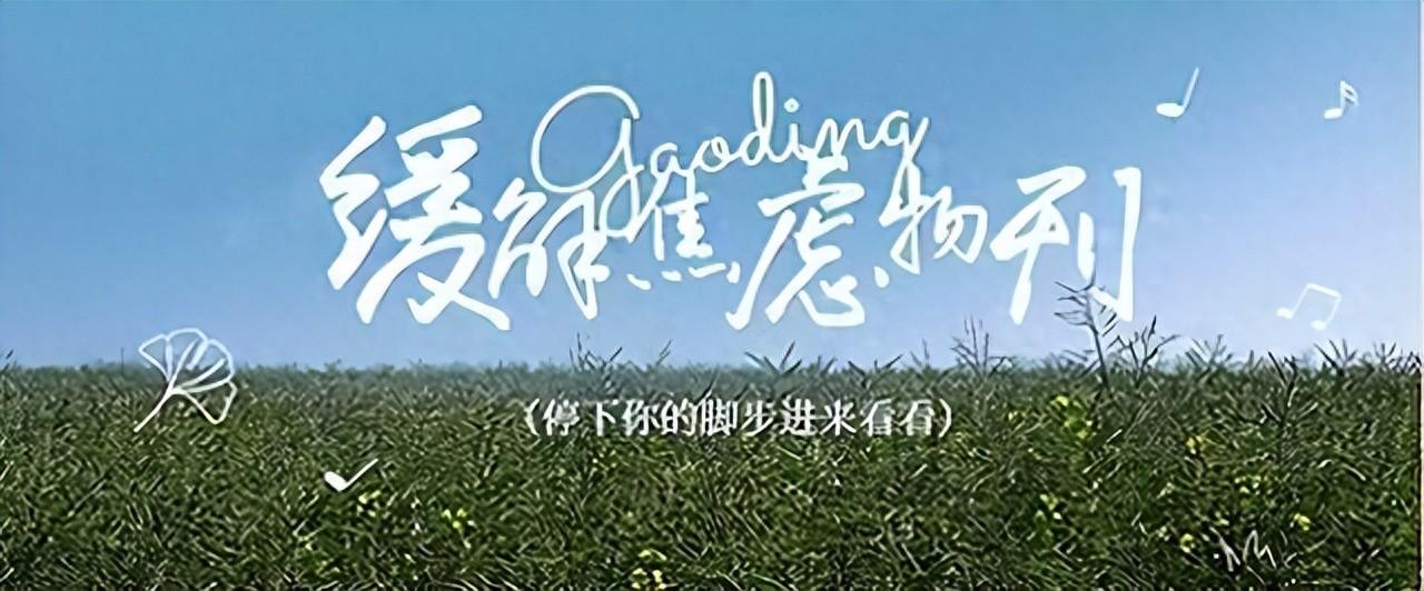 童年回忆!植物大战僵尸大合集!还有各种经典老游戏!