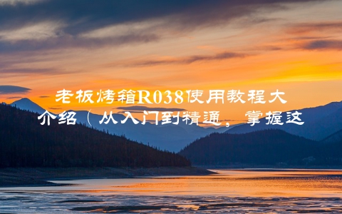 老板烤箱R038使用教程大介绍（从入门到精通，掌握这些方法让你成为烤箱达人