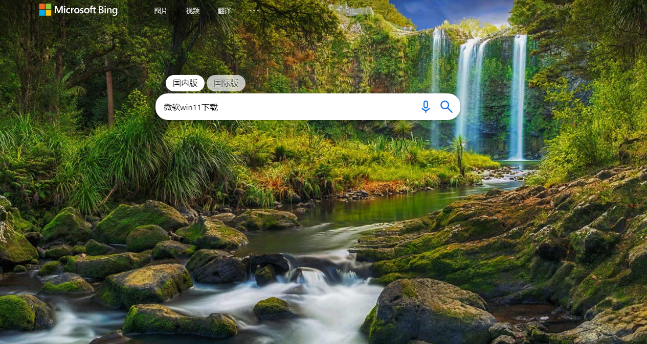 教你如何下载微软官方原版操作系统windows11