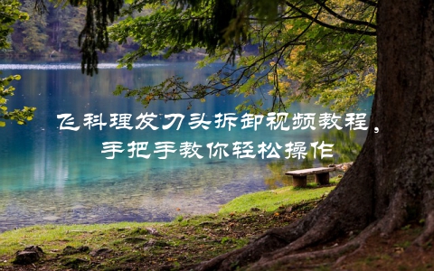 飞科理发刀头拆卸视频教程，手把手教你轻松操作