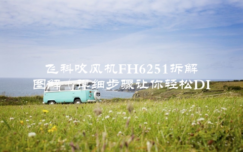 飞科吹风机FH6251拆解图解（详细步骤让你轻松DIY）