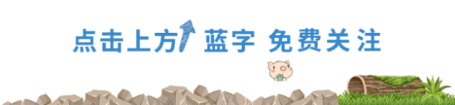 中考英语易混单词 answer/ reply 辨析