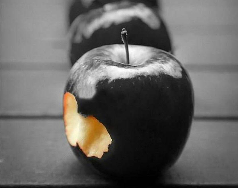 “服疫期”给自己装个黑苹果系统感受一下吧!不足万元即可搞定