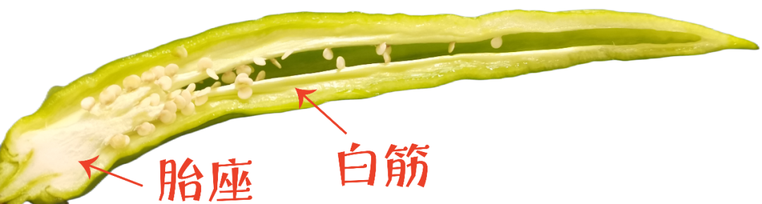 辣椒、大葱、洋葱的“辣”是同一种吗？答案是……