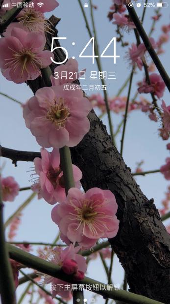 iphone照片如何缩小做屏保（如何把图片裁剪成iphone壁纸）