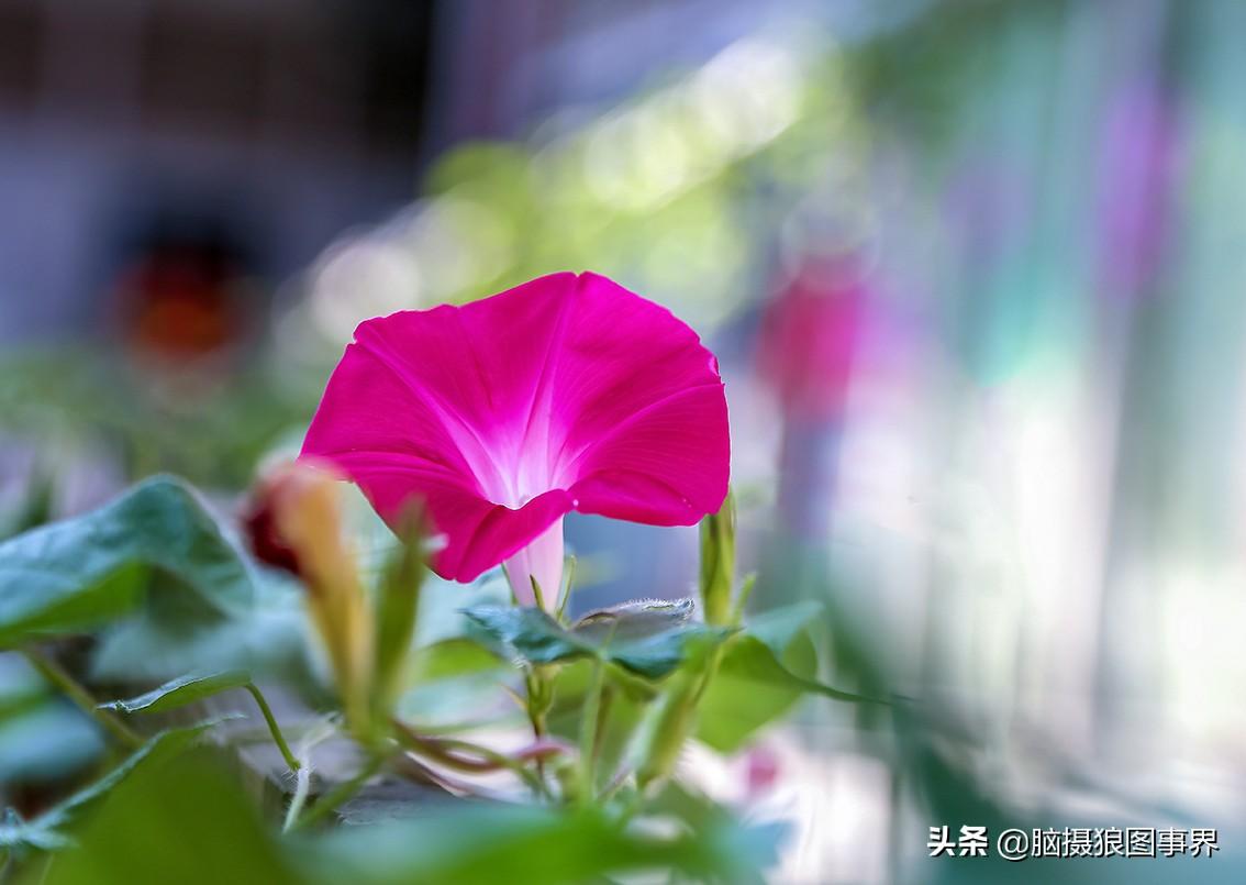 佳能6D相机，已用过7年多时间了，是否用它继续“战斗”？