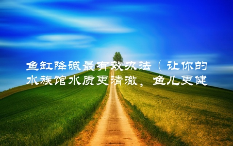鱼缸降碱最有效办法（让你的水族馆水质更清澈，鱼儿更健康）