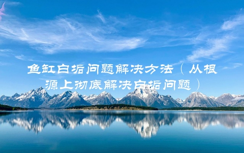 鱼缸白垢问题解决方法（从根源上彻底解决白垢问题）
