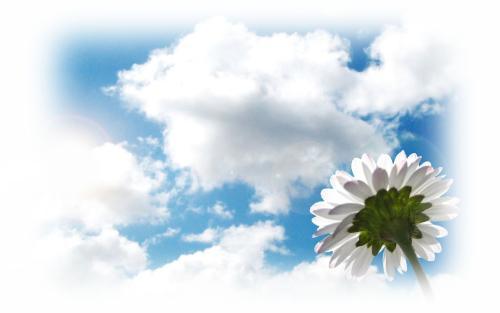 [学英语] kindergarten的来历