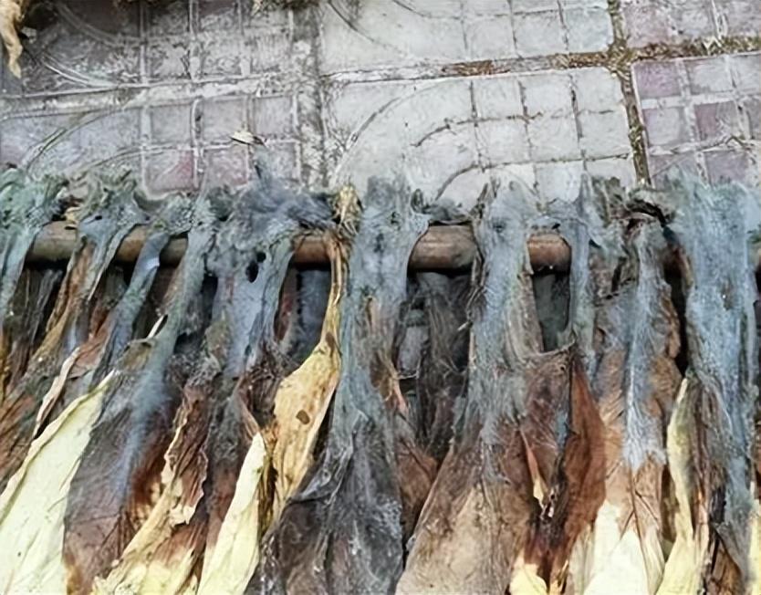 高温烘干房的救星:耐高温除湿机解决湿度挑战