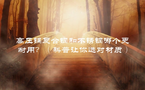 高压锅复合钢和不锈钢哪个更耐用？（科普让你选对材质）