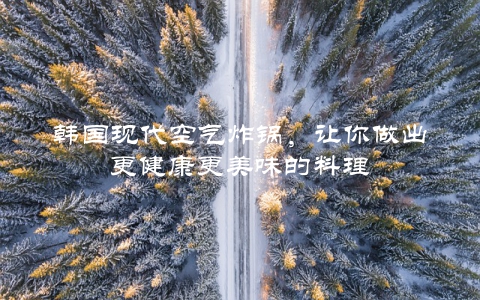 韩国现代空气炸锅，让你做出更健康更美味的料理