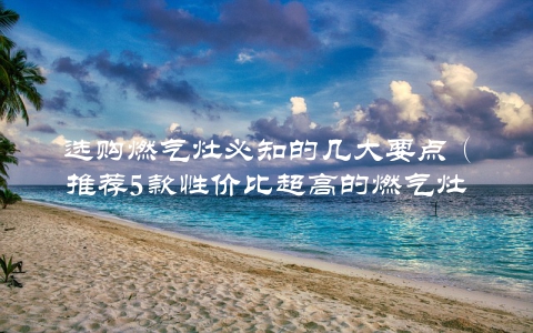 选购燃气灶必知的几大要点（推荐5款性价比超高的燃气灶）