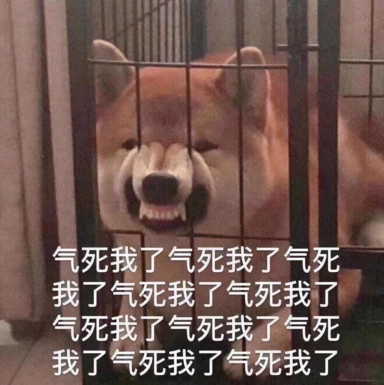 360终于出了极速版的安全卫士,免费!还无广告
