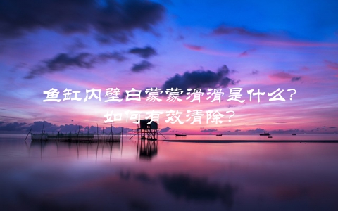 鱼缸内壁白蒙蒙滑滑是什么？如何有效清除？