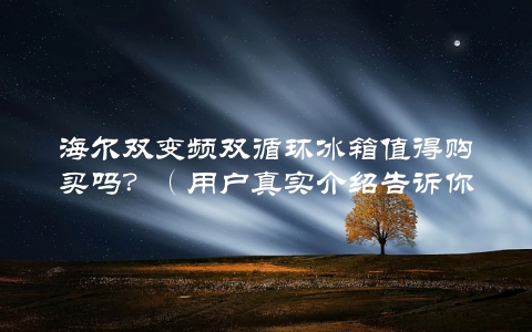 海尔双变频双循环冰箱值得购买吗？（用户真实介绍告诉你）