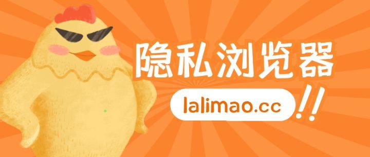 隐私浏览器有什么用?可以保证上网隐私吗?