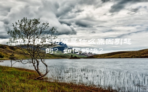 鱼缸壁上粘液是什么原因引起的？如何解决？