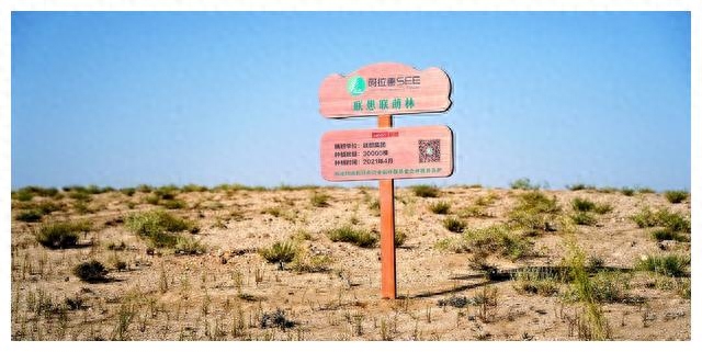 联想“联萌看见计划”邀你加入,一起助力荒漠化防治