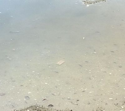 诺基亚Lumia 1520泡水里1年,洗洗还能用