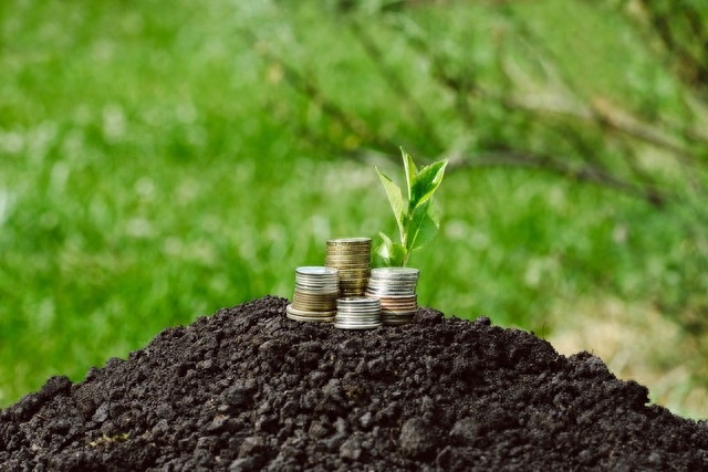 每天记住一个单词:accumulate