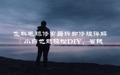 飞科毛球修剪器拆卸修理详解（小白也能轻松DIY，省钱又方便）