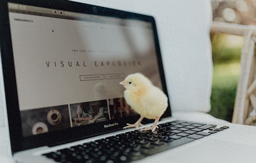 电脑开机出现英文故障?先别着急拿去修!几分钟教你轻松搞定