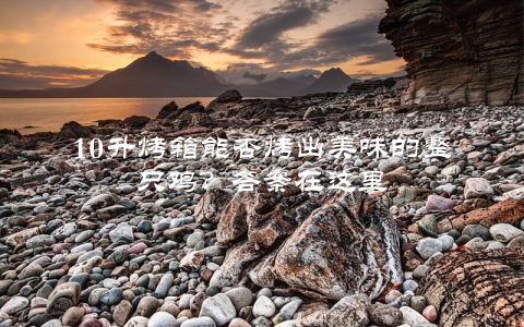 10升烤箱能否烤出美味的整只鸡？答案在这里