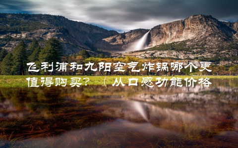 飞利浦和九阳空气炸锅哪个更值得购买？（从口感功能价格三个角度出发）