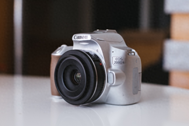 EOS 200D II拍摄猫咪全方位体验