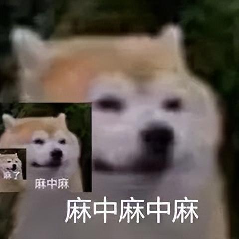 苹果手机电量百分比怎么设置（苹果12pro电池百分比怎么设置）