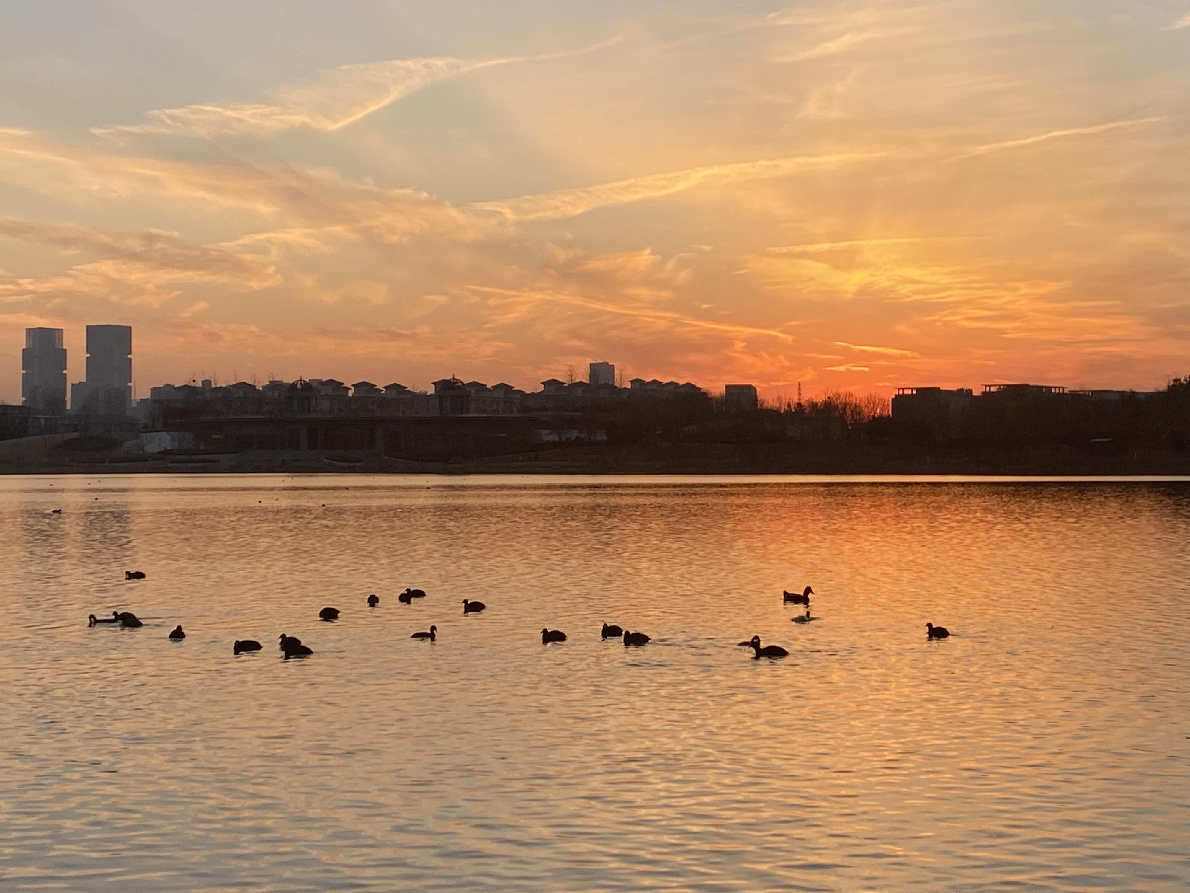 Rate、ratio和proportion在表示比例时的用法和区别