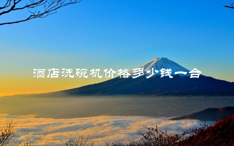 酒店洗碗机价格多少钱一台