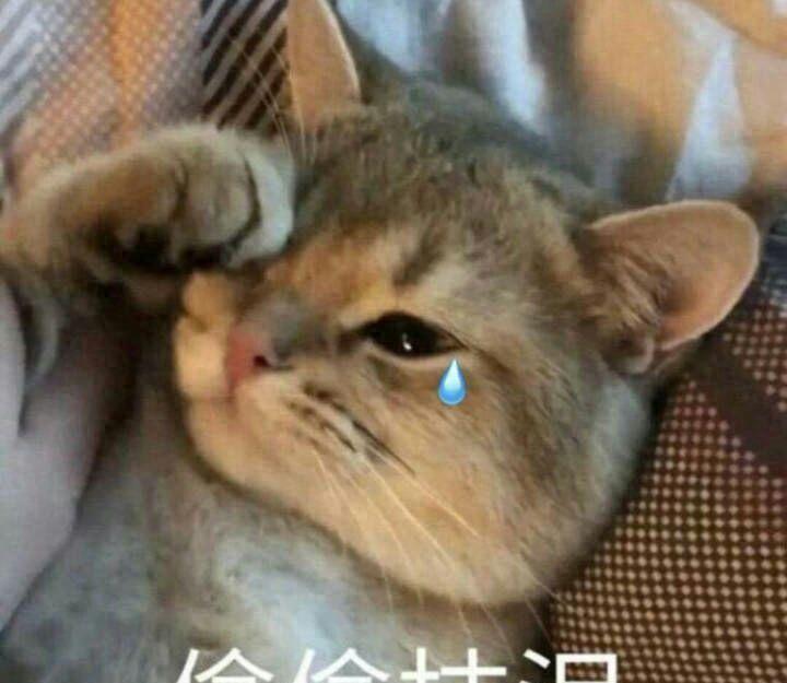 有个有游戏叫装机模拟器,玩过以后你会发现。 组装一...