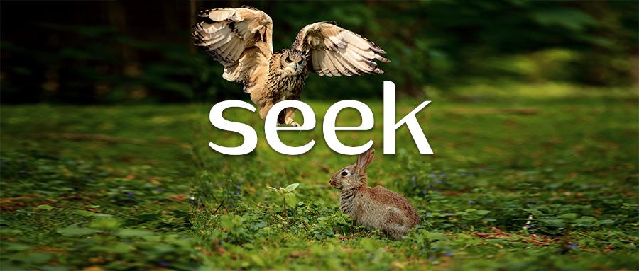 每日一词 | seek 详解