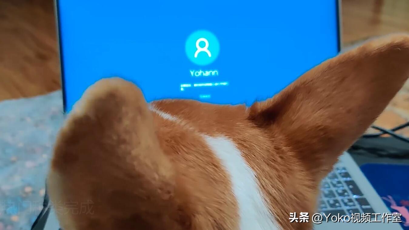 「2022笔记本电脑」6大热门种类！学生该选哪个？