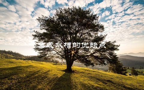 集成水槽的优缺点