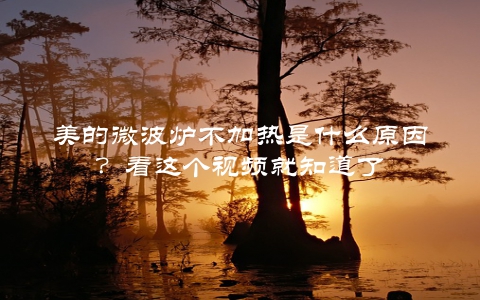 美的微波炉不加热是什么原因？看这个视频就知道了