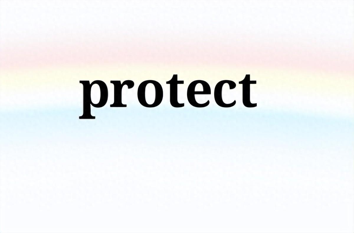 protect、defend、guard和safeguard区别