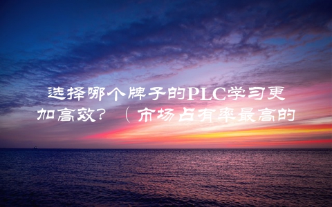 选择哪个牌子的PLC学习更加高效？（市场占有率最高的三大品牌评测）