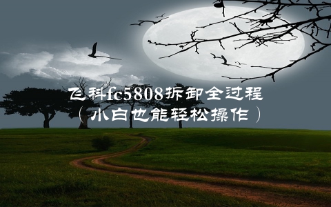 飞科fc5808拆卸全过程（小白也能轻松操作）