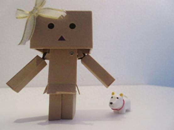 张小盒的艺术照