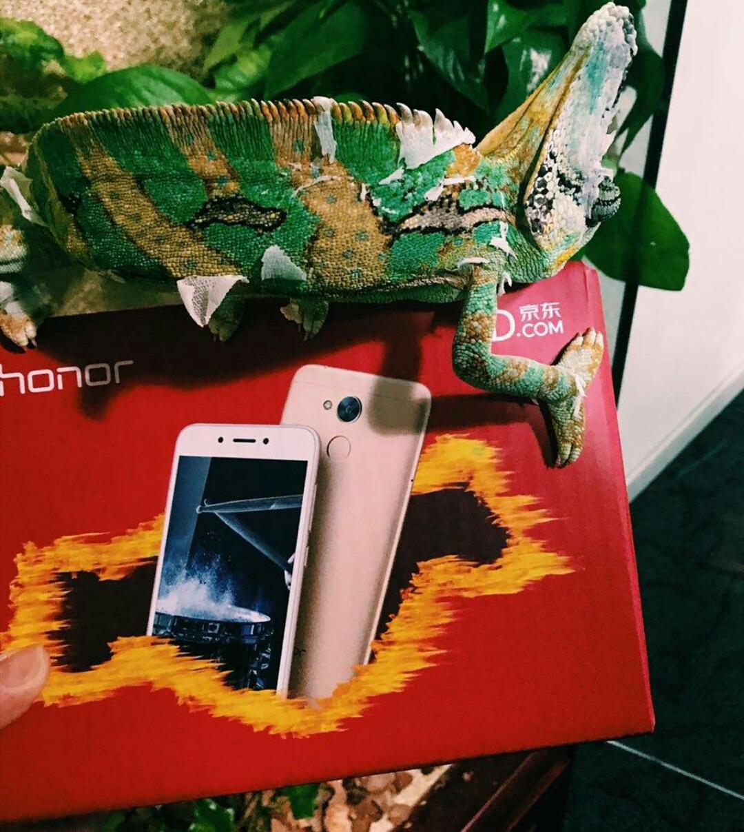 用诚意打动用户,华为荣耀系列产品销量夺冠,品质依旧值得信赖