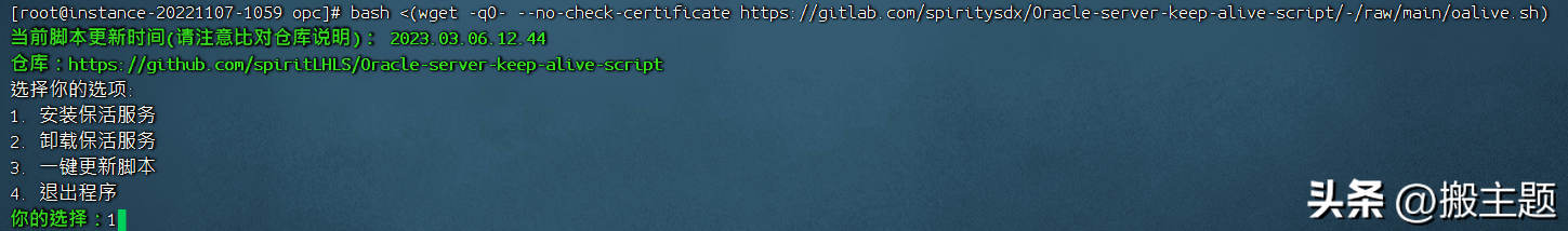 Oracle Cloud甲骨文云主机免费VPS保活永久使用图文教程