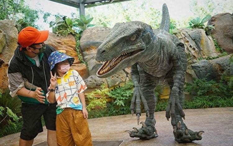 主题乐园的女性“造梦者”们,每天都要接受新挑战