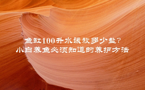鱼缸100升水该放多少盐？小白养鱼必须知道的养护方法
