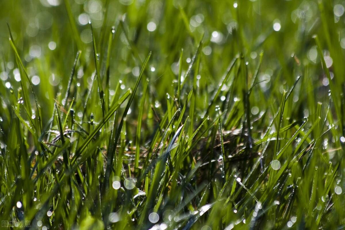 今天来分享两个单词，利用词根词缀进行记忆（47）