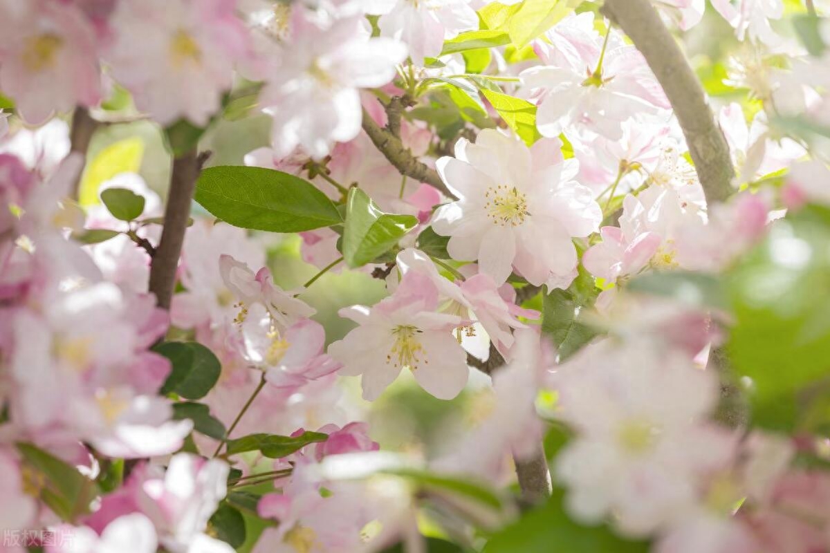 如何轻松解决问题？高手的两大诀窍